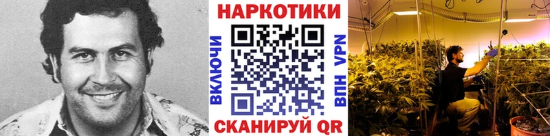 Все наркотики Асино ГАШИШ  Марихуана  Cocaine  Галлюциногенные грибы  Меф мяу мяу 