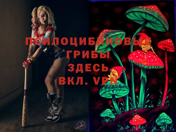 spice Арсеньев