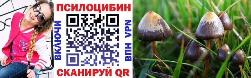 Галлюциногенные грибы прущие грибы  Асино 